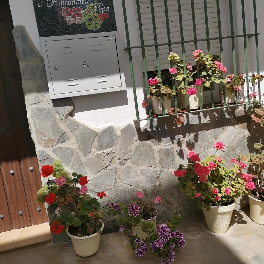 Casa Pepa Apartment Conil De La Frontera