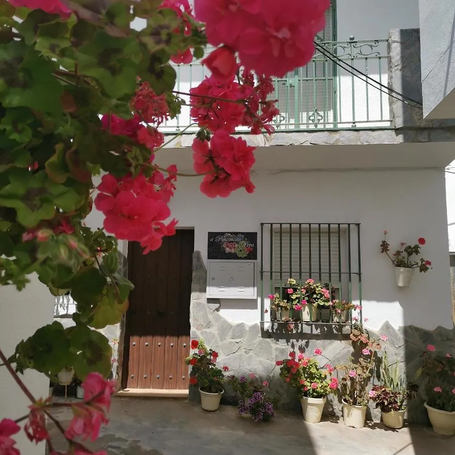 Casa Pepa Apartment Conil De La Frontera 0*,