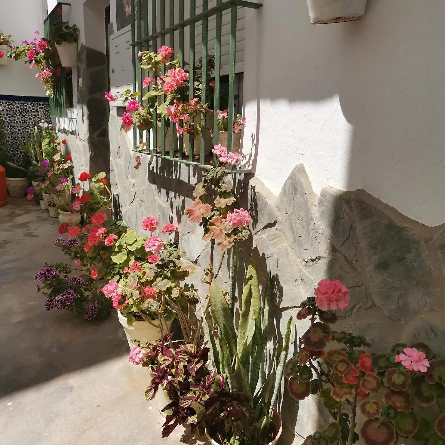 Casa Pepa Apartment Conil De La Frontera